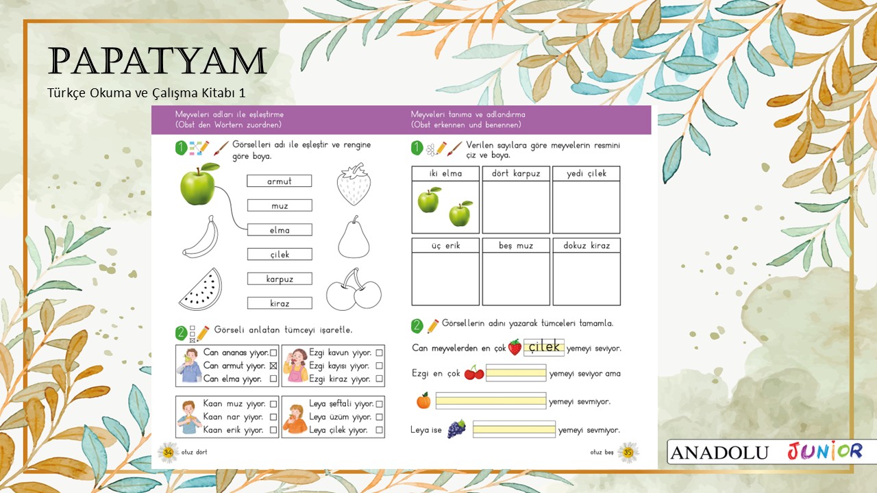 Papatyam 1 Türkçe Okuma ve Çalışma Kitabı