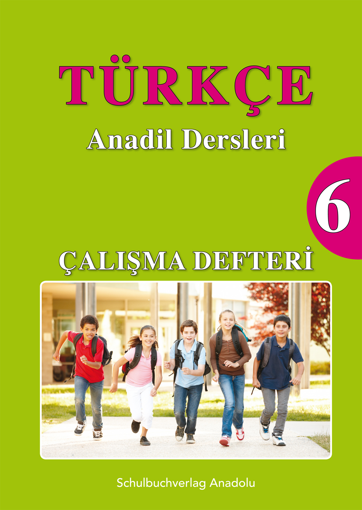 Türkçe Anadil Dersleri 6 Çalışma Defteri
